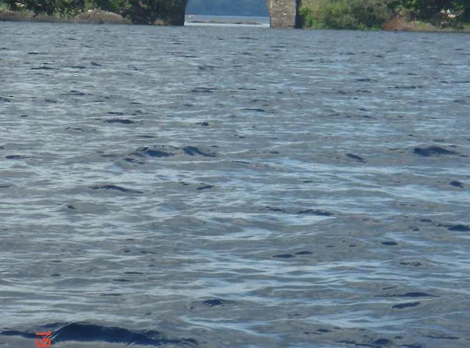 Fiddlers Rest Oda ve Kahvaltı